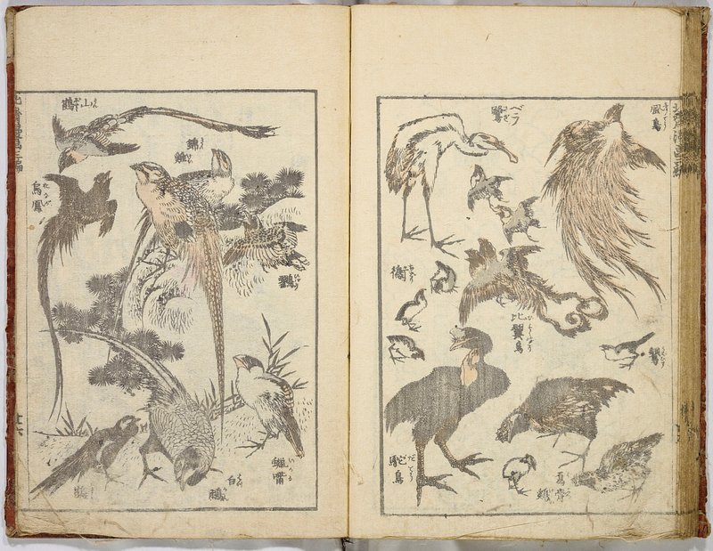 Japanese Illustrated Books  The Metropolitan Museum of Art