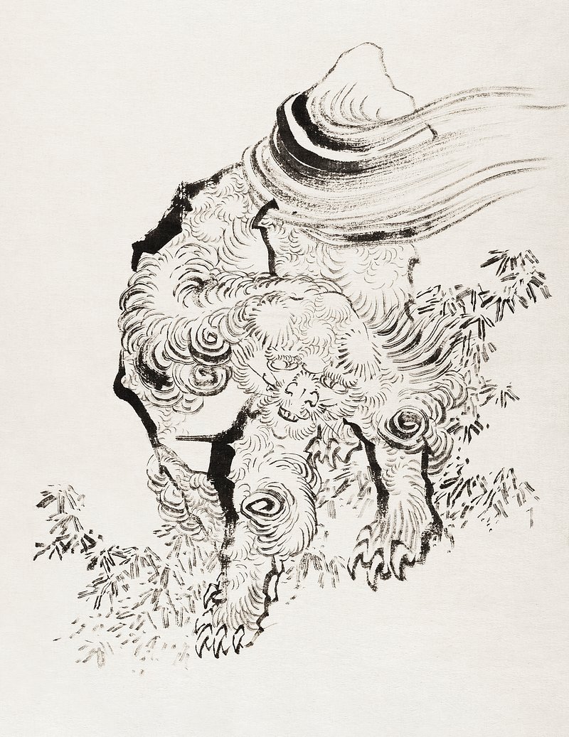 Felidae White Tiger Drawing Clip Art, PNG, 700x800px, Felidae, Animal,  Animal Figure, Art, Bengal Tiger Download