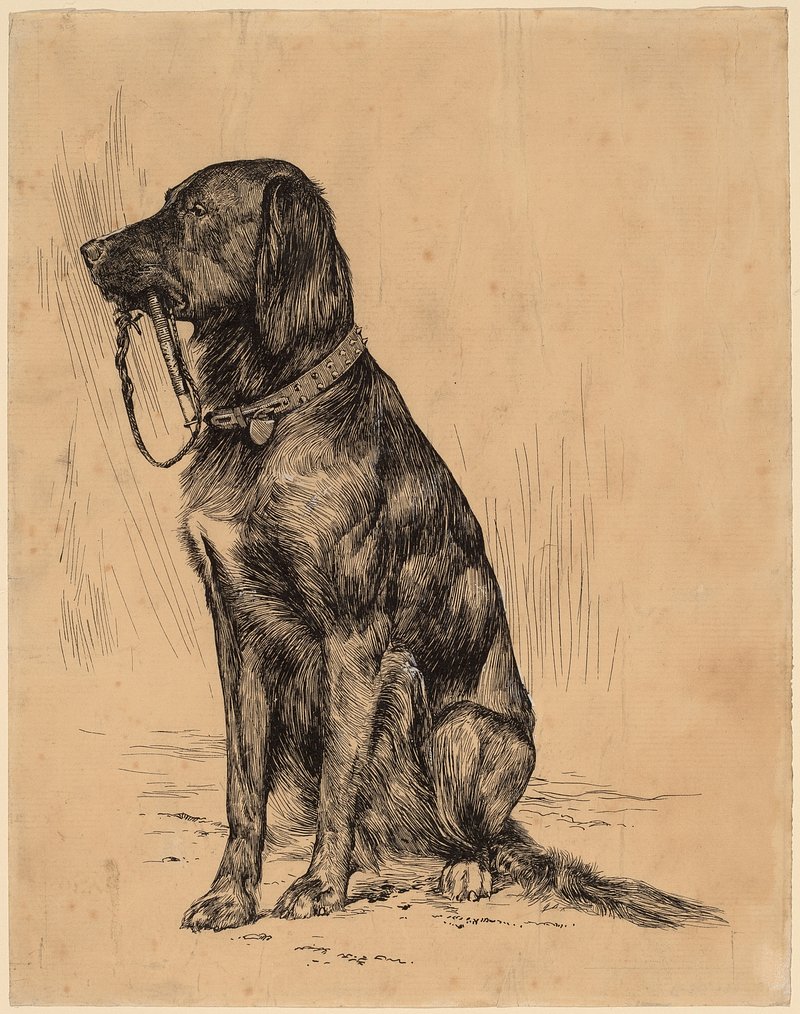 Sketch drawing of a dog sitting and holding its leash in its mouth.