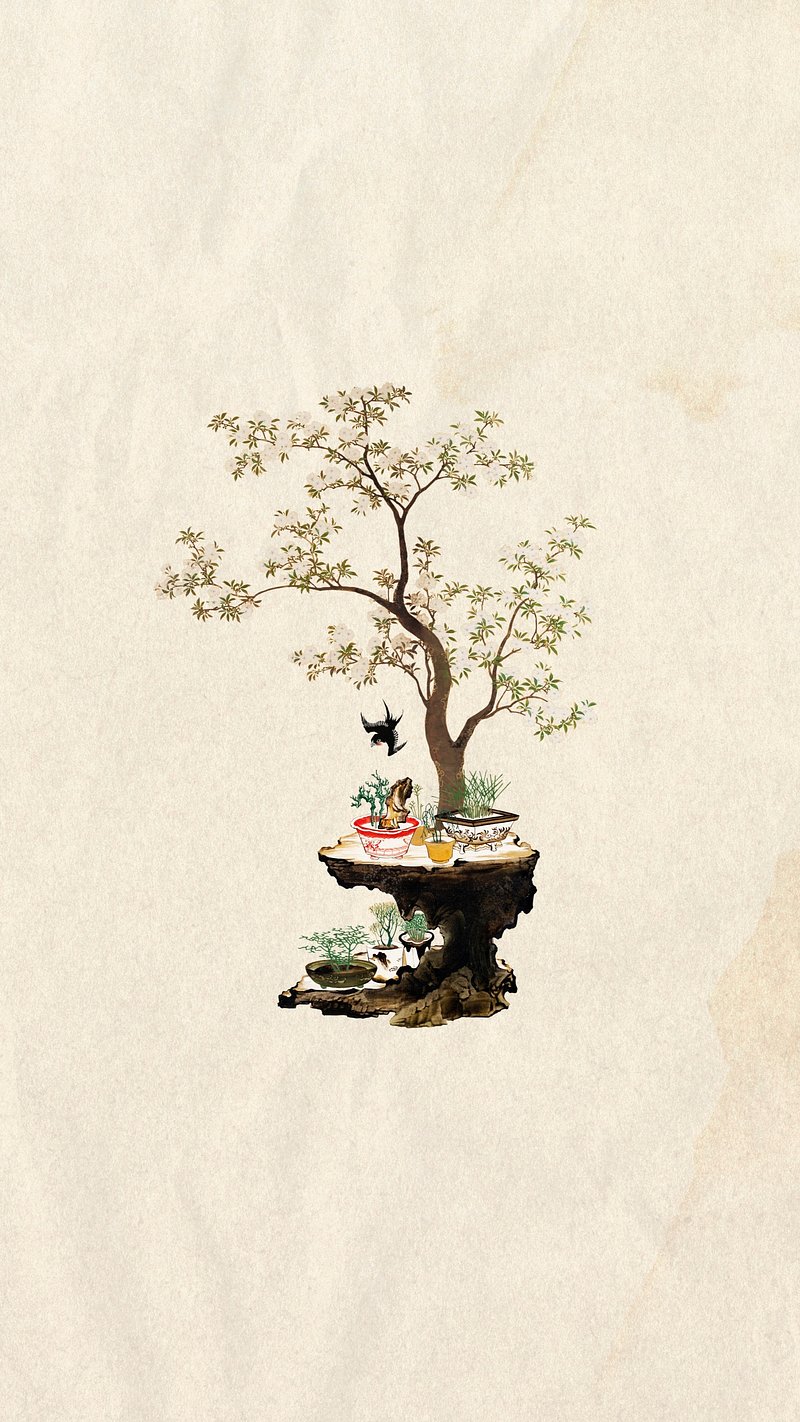 Bonsai Tree Images | Free Photos, PNG Stickers, Wallpapers & Backgrounds -  rawpixel