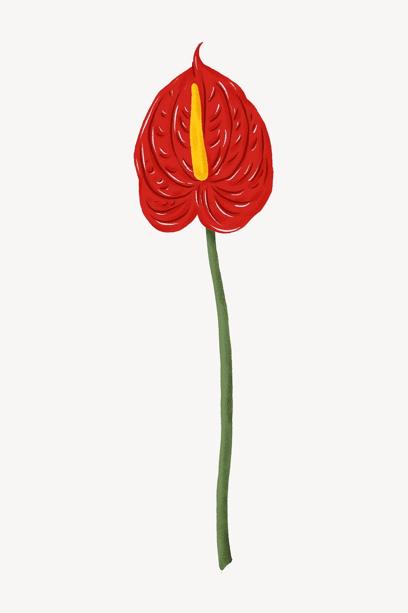 A line drawing of a branch of red flowers, with green leaves Stock  Illustration | Adobe Stock