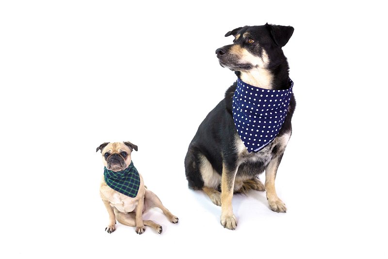 Bark Ranger Dog Bandana 