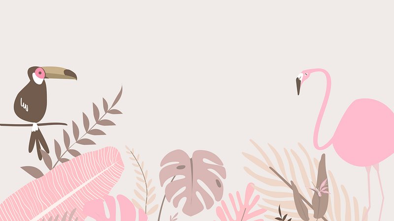 Flamingo wallpaper Vectors  Illustrations for Free Download  Freepik