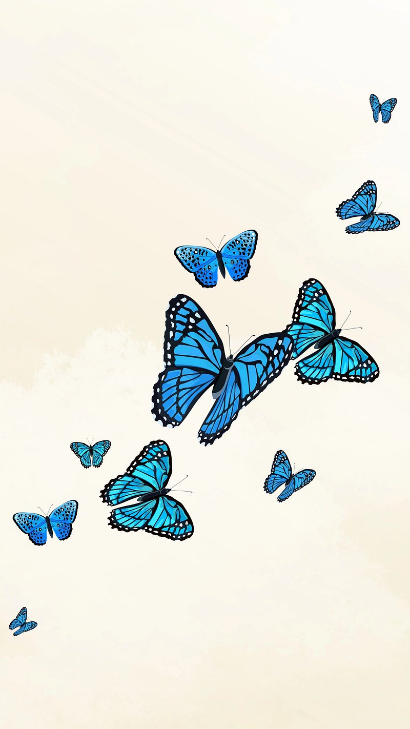 Blue Butterflies in 2020 aesthetic blue butterfly HD phone wallpaper   Pxfuel