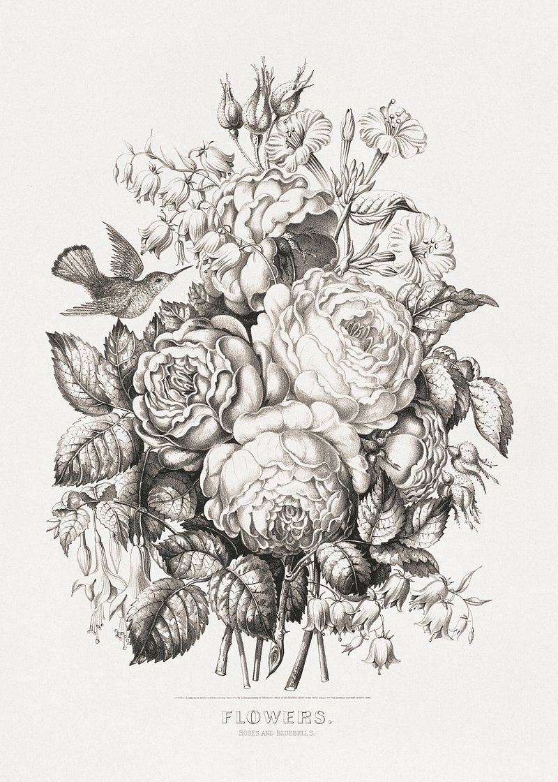 Pencil Sketch of Flower bouquet  Stock Image  Everypixel