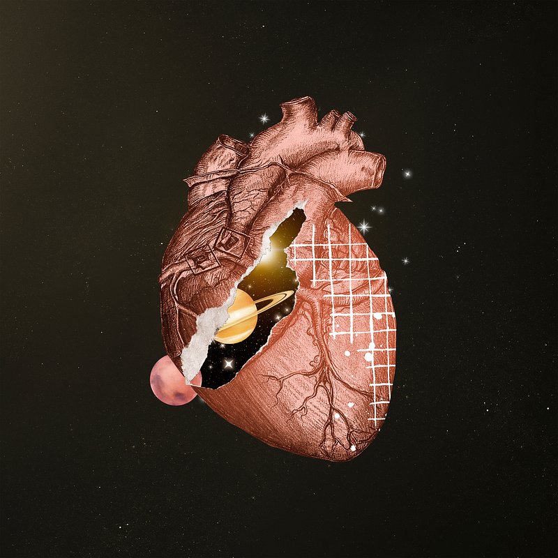 Human Heart  Heart wallpaper Doctor quotes medical Human