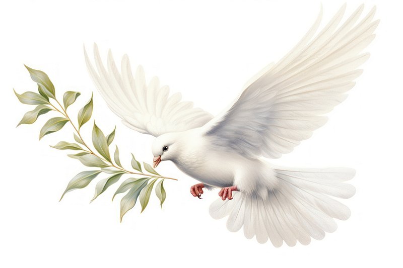 christian dove png