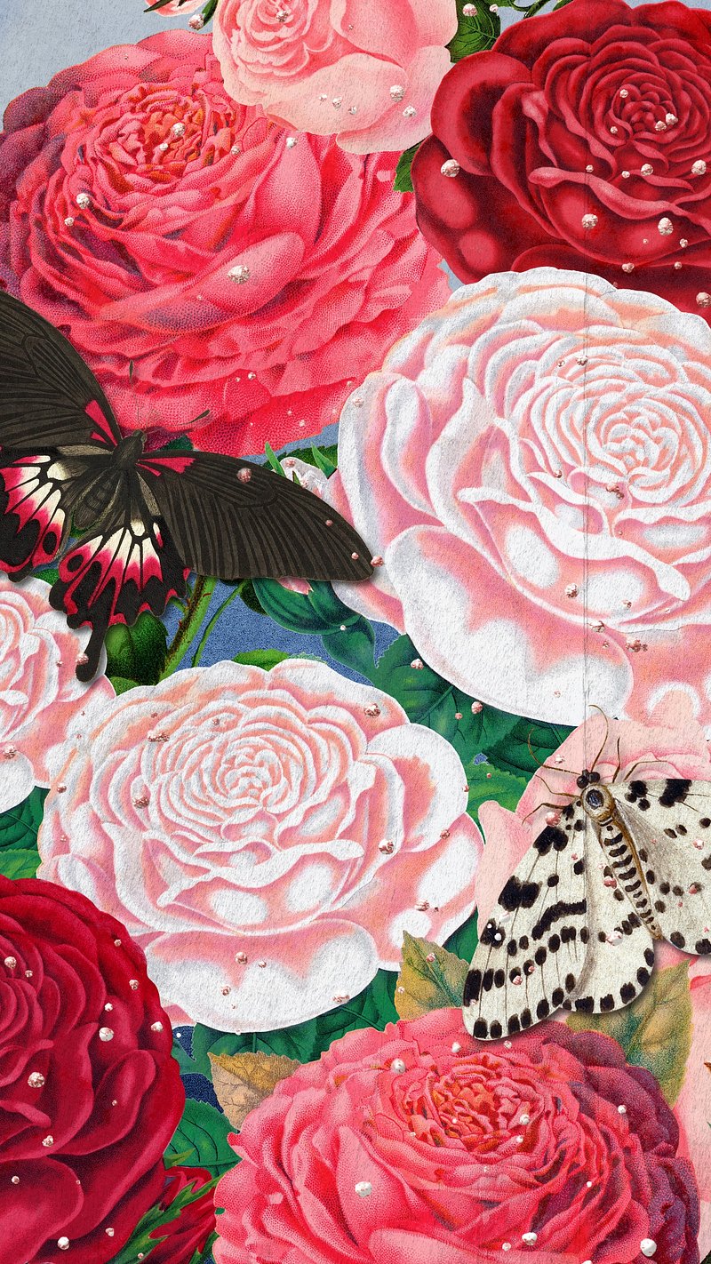 pink louis vuitton butterfly wallpaper