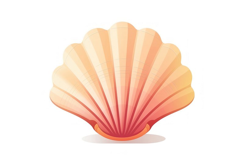 white clam shell isolated on transparent background ,sea shell top view png  ,generative ai 30740033 PNG