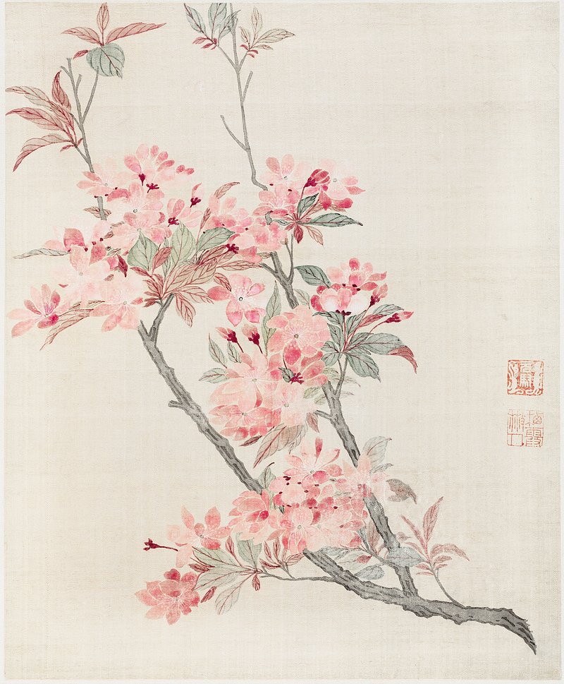 126,933 Japanese Cherry Blossom Stock Photos - Free & Royalty-Free