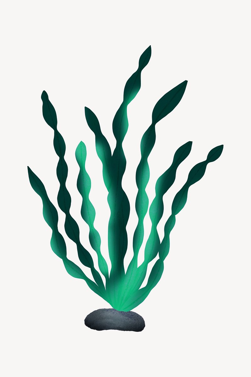 Green algae, aesthetic paint illustration Premium Photo Illustration