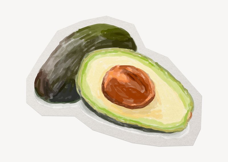 Avocado Sketch Images  Free Download on Freepik