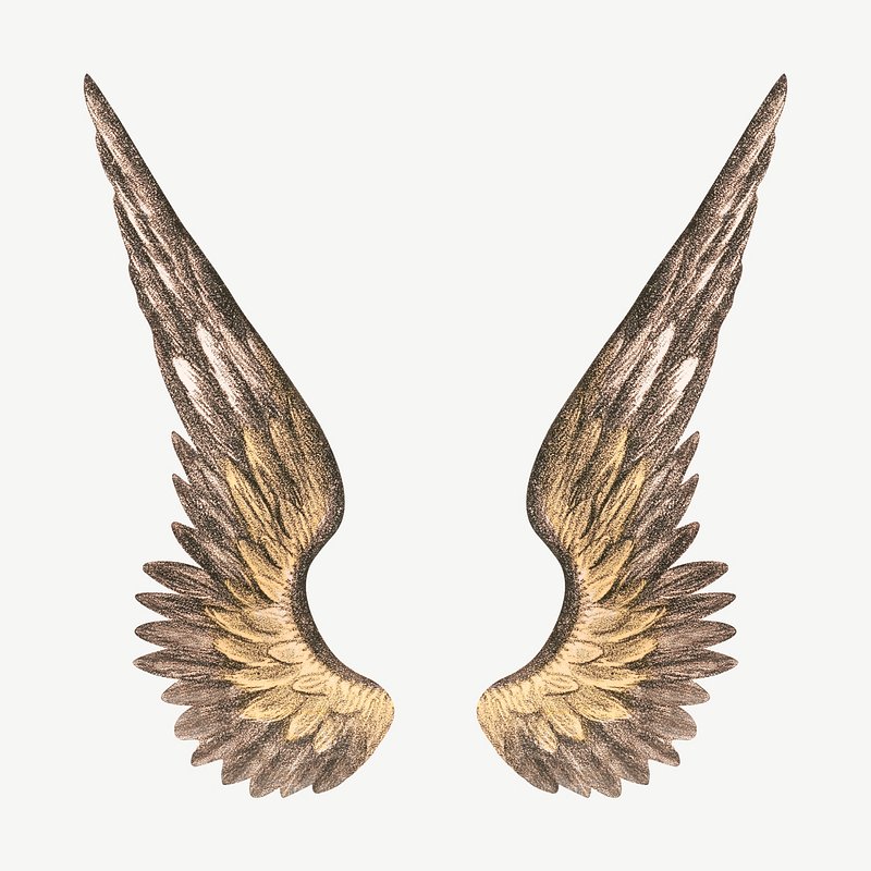Angel'S Wings