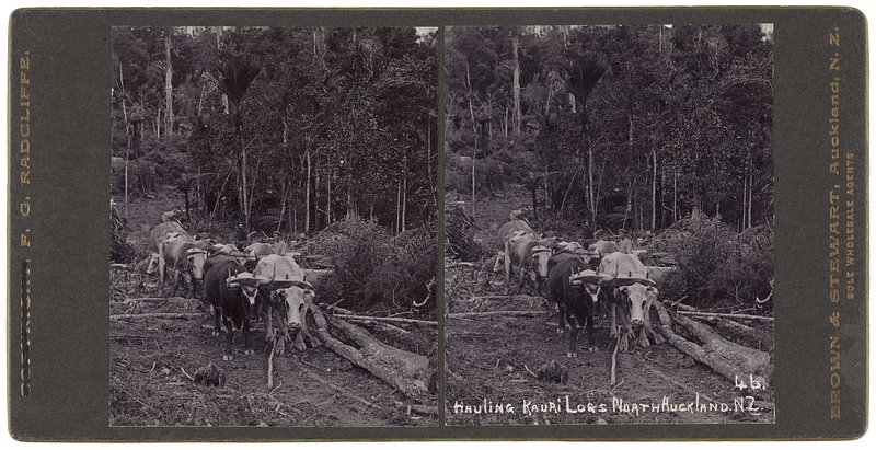 cHJpdmF0ZS9sci9pbWFnZXMvd2Vic2l0ZS8yMDIz