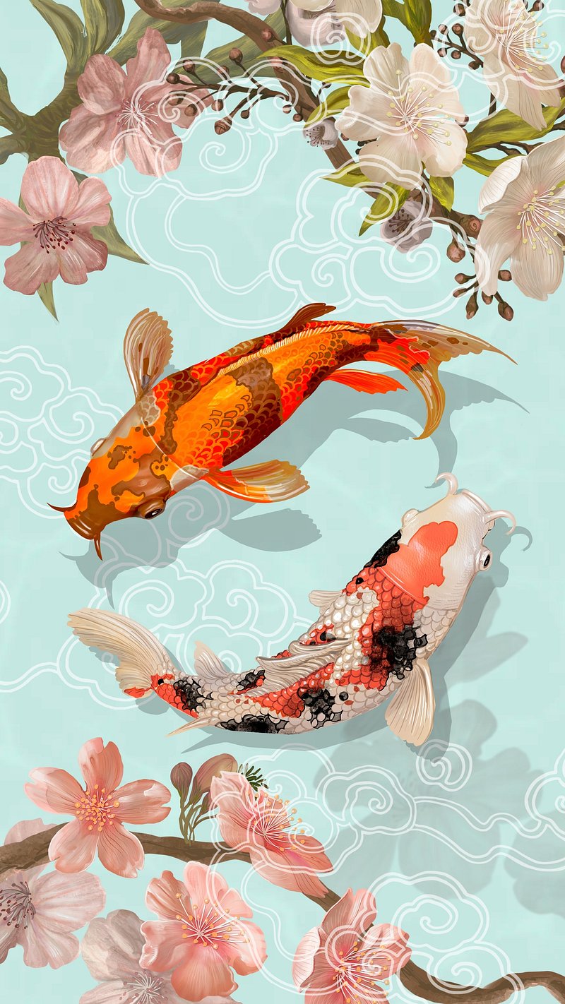 KOI FISH, blue, japan, japanese, peace, skull, water, HD wallpaper | Peakpx