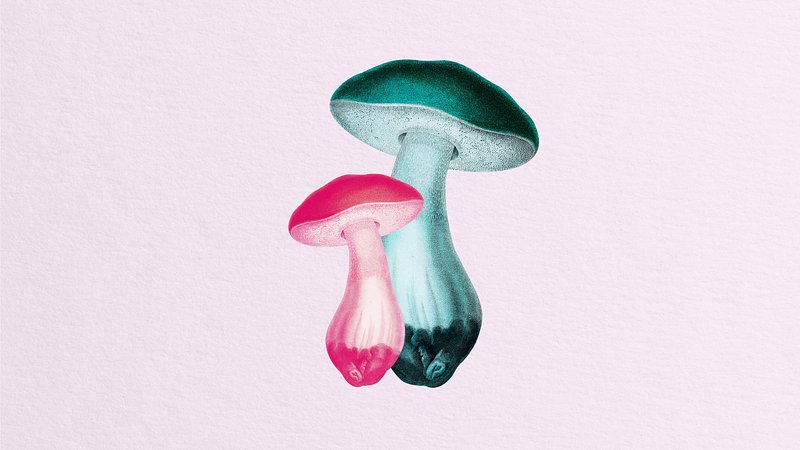 Jennie on Twitter  Mushroom wallpaper Cute art Cute desktop wallpaper
