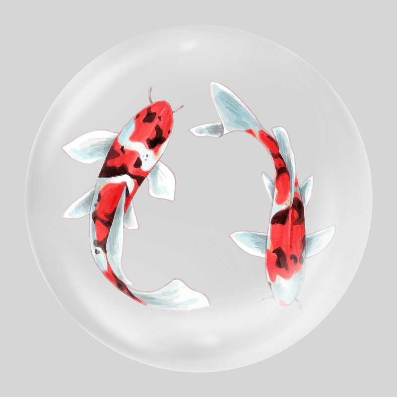 Japanese Fish Hd Transparent, Japanese Fish Flag, Japan, Japanese Style,  Fish Flag PNG Image For Free Download