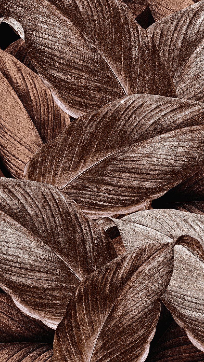 Brown Leaves & Trees Wallpaper | John Lewis & Partners