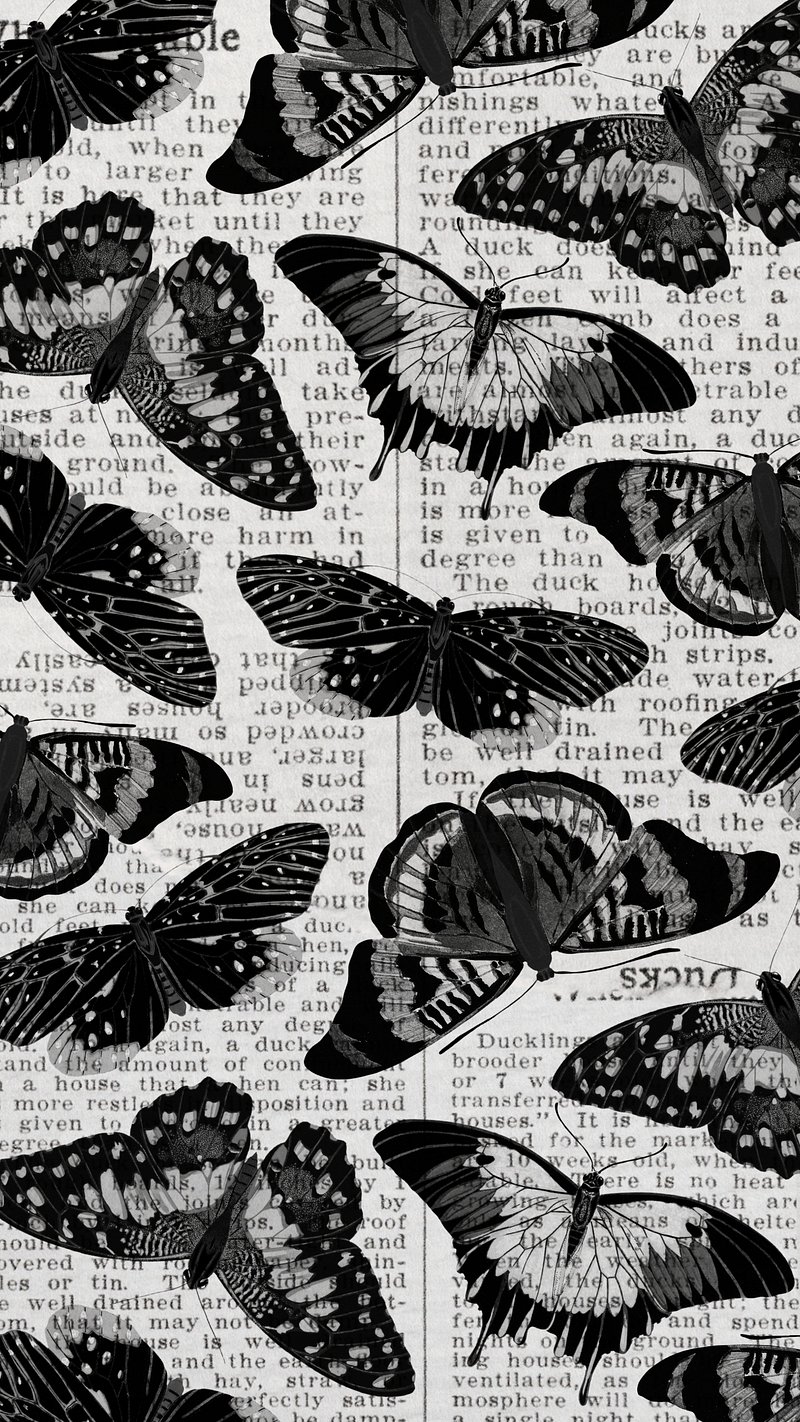 Butterfly aesthetic black HD wallpapers  Pxfuel