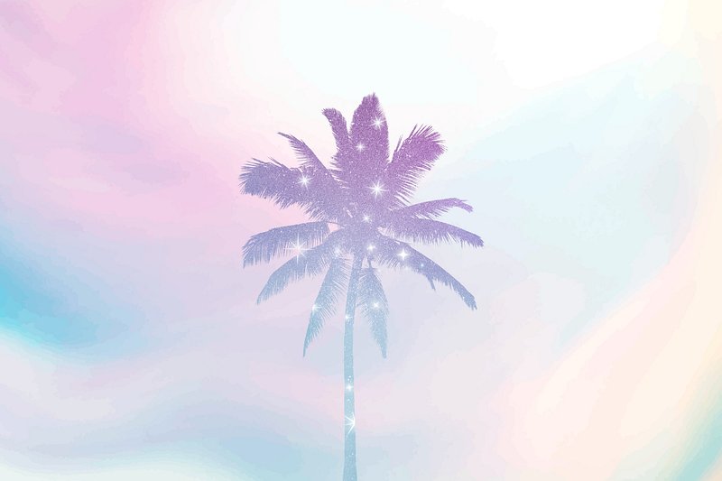  Palm Tree With Sky Wallpaper Background HD Donwload  CBEditz