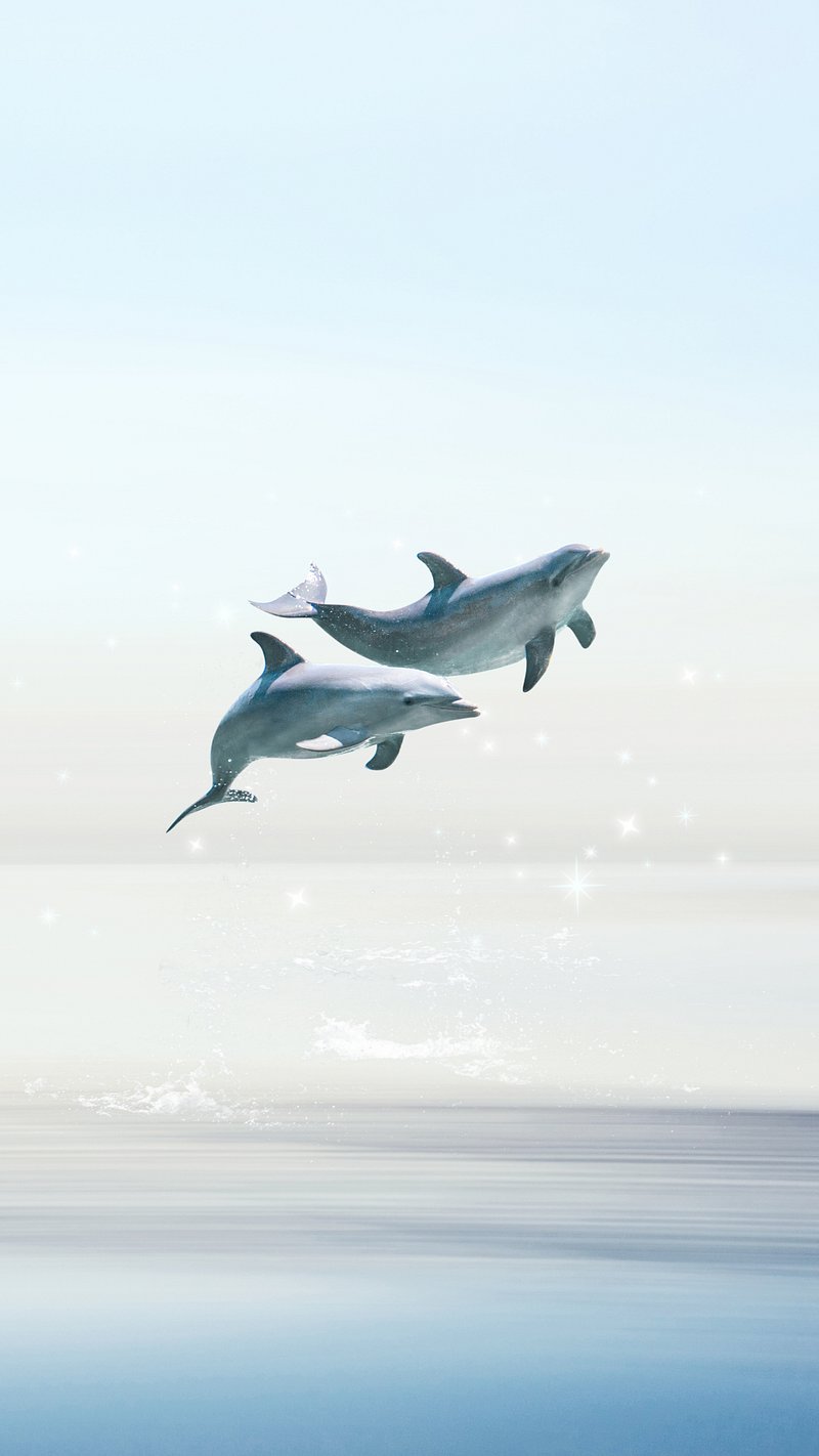 Geometric Dolphin iPhone Wallpaper