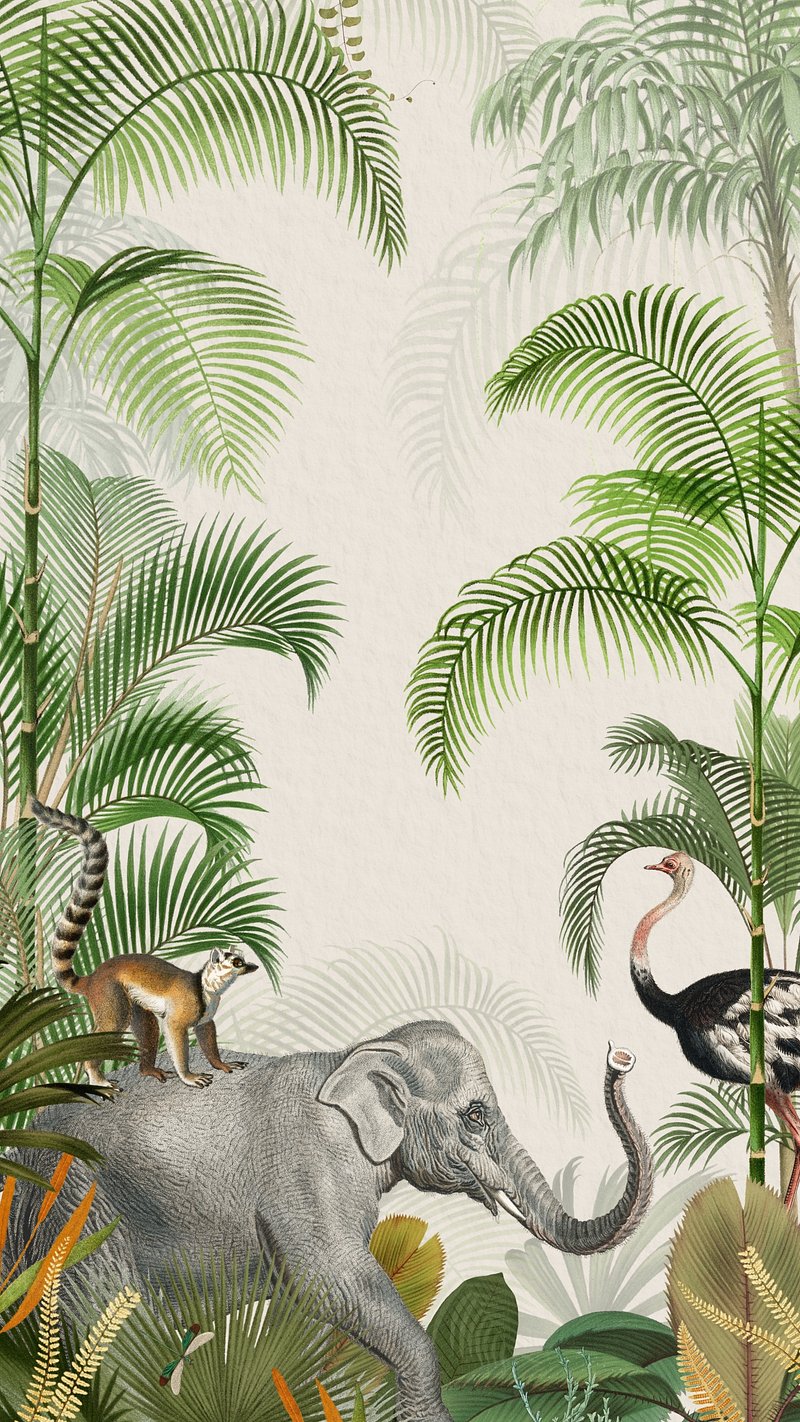 Wallpaper ID 422017  Animal African bush elephant Phone Wallpaper  Elephant 828x1792 free download