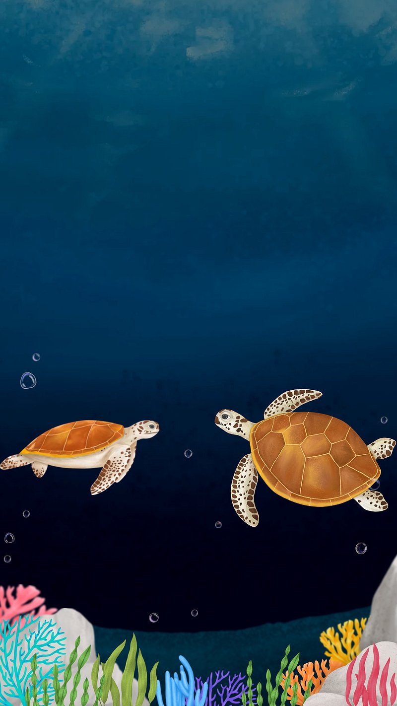 Download An adorable sea turtle swimming above a vibrant reef Wallpaper   Wallpaperscom