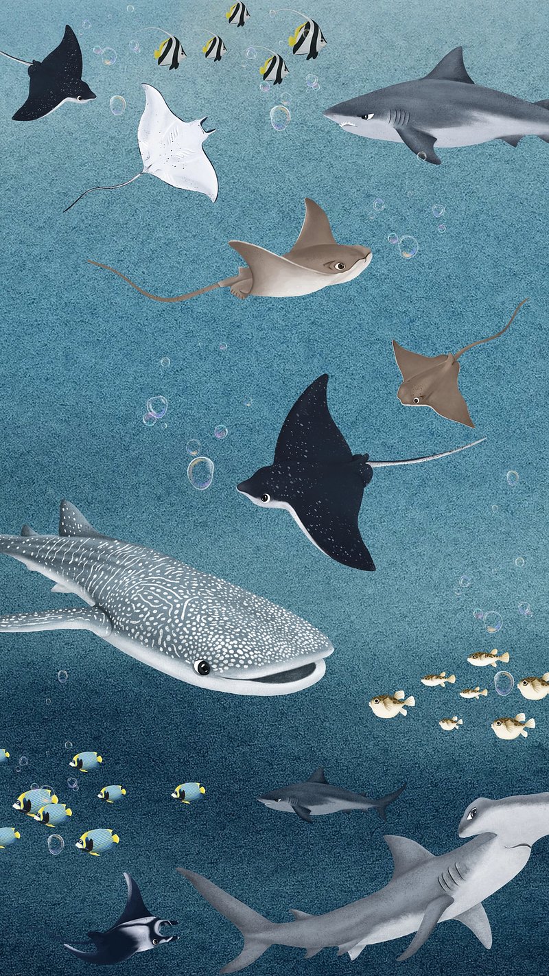 Premium Vector  Cute shark seamless pattern background  Fundo padrão  Tubarão fofo Anime papel de parede iphone