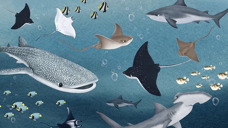 Shark Ocean Depth Digital Art 4K Wallpaper iPhone HD Phone 4370h