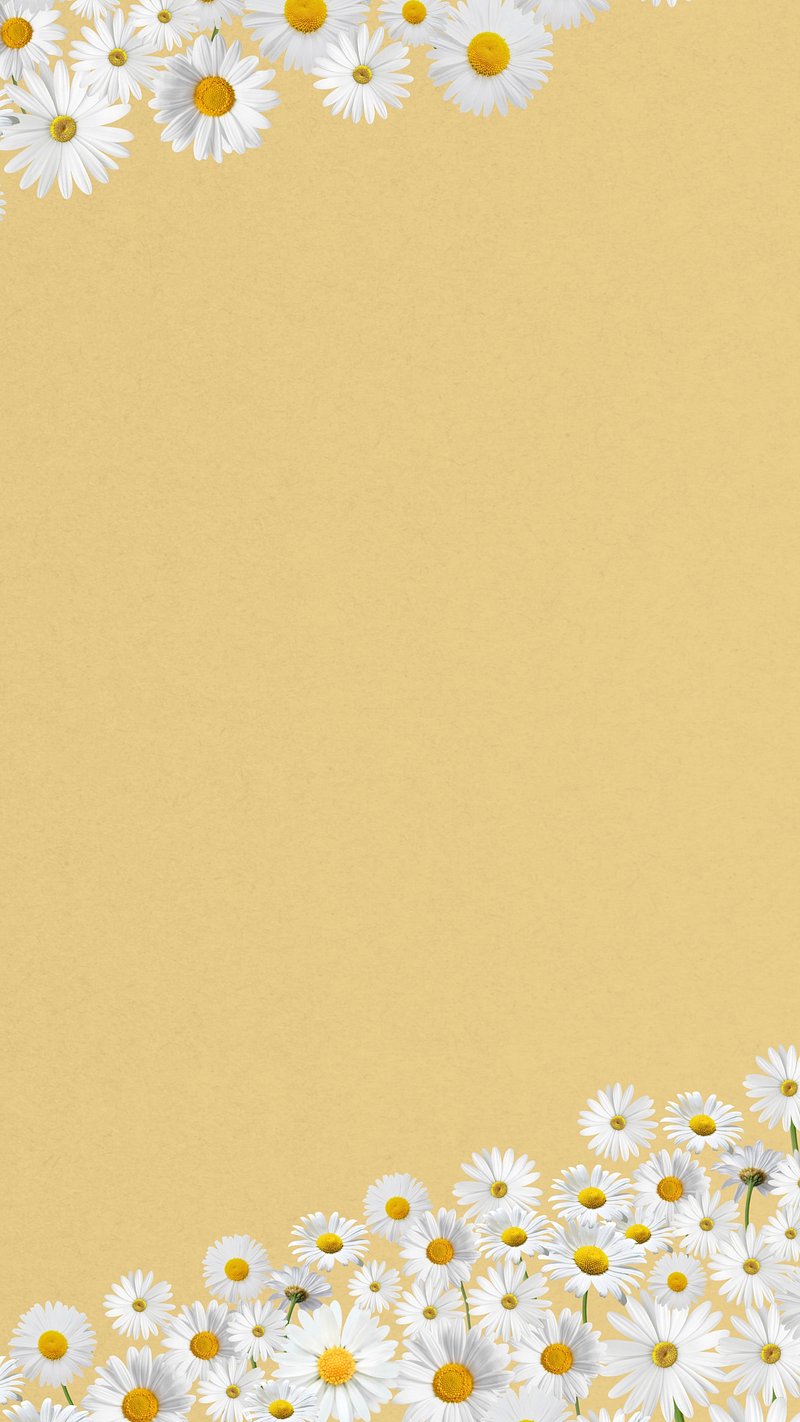 Wallpapers Daisy Phone Images  Free Photos PNG Stickers Wallpapers   Backgrounds  rawpixel