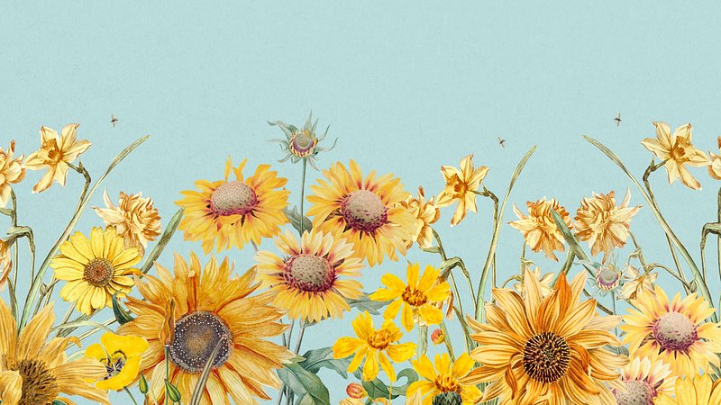 Photographic Yellow Sunflower Wallpaper Mural - Hovia