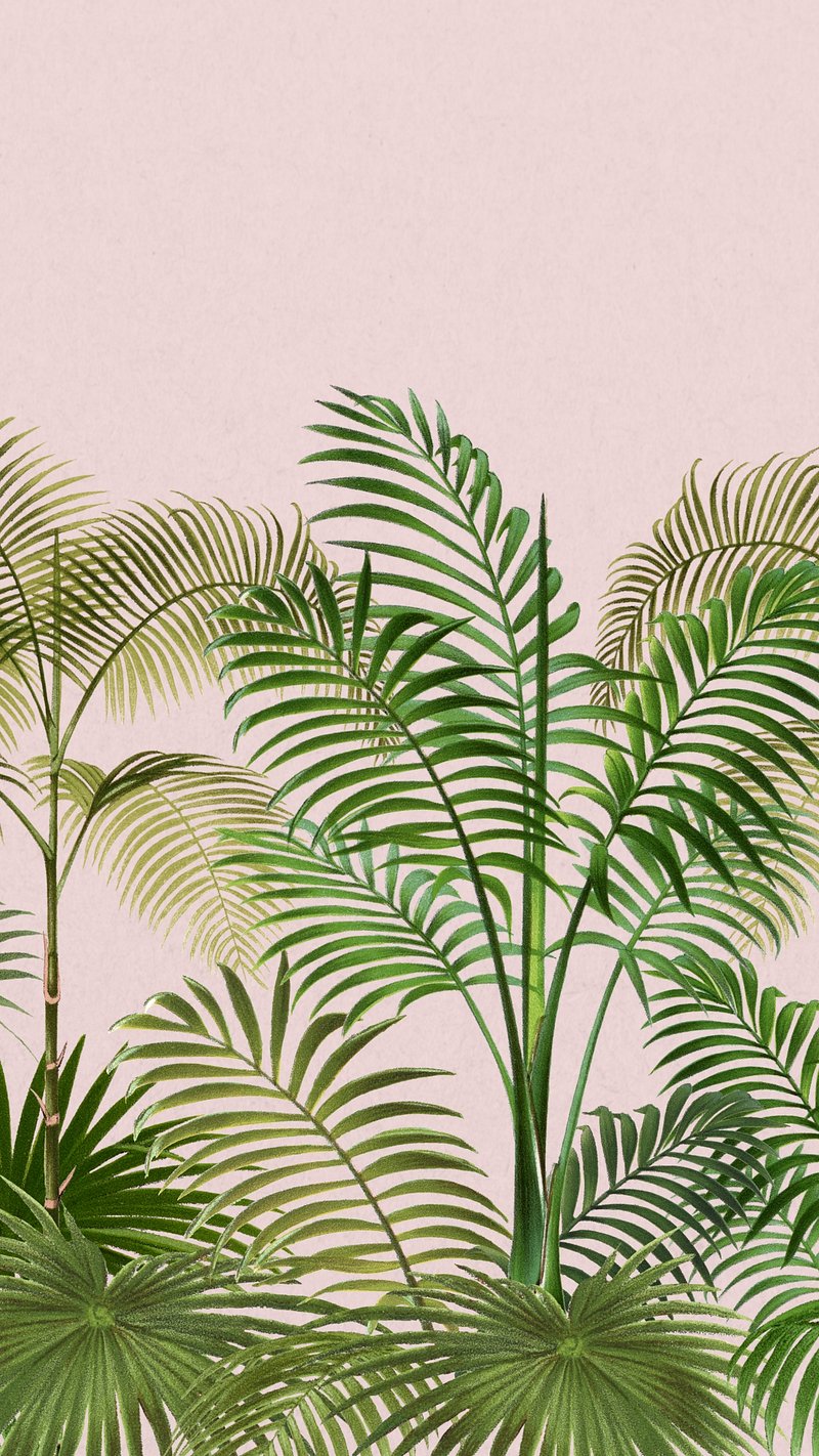 Free Photo  Aesthetic background with palm tree