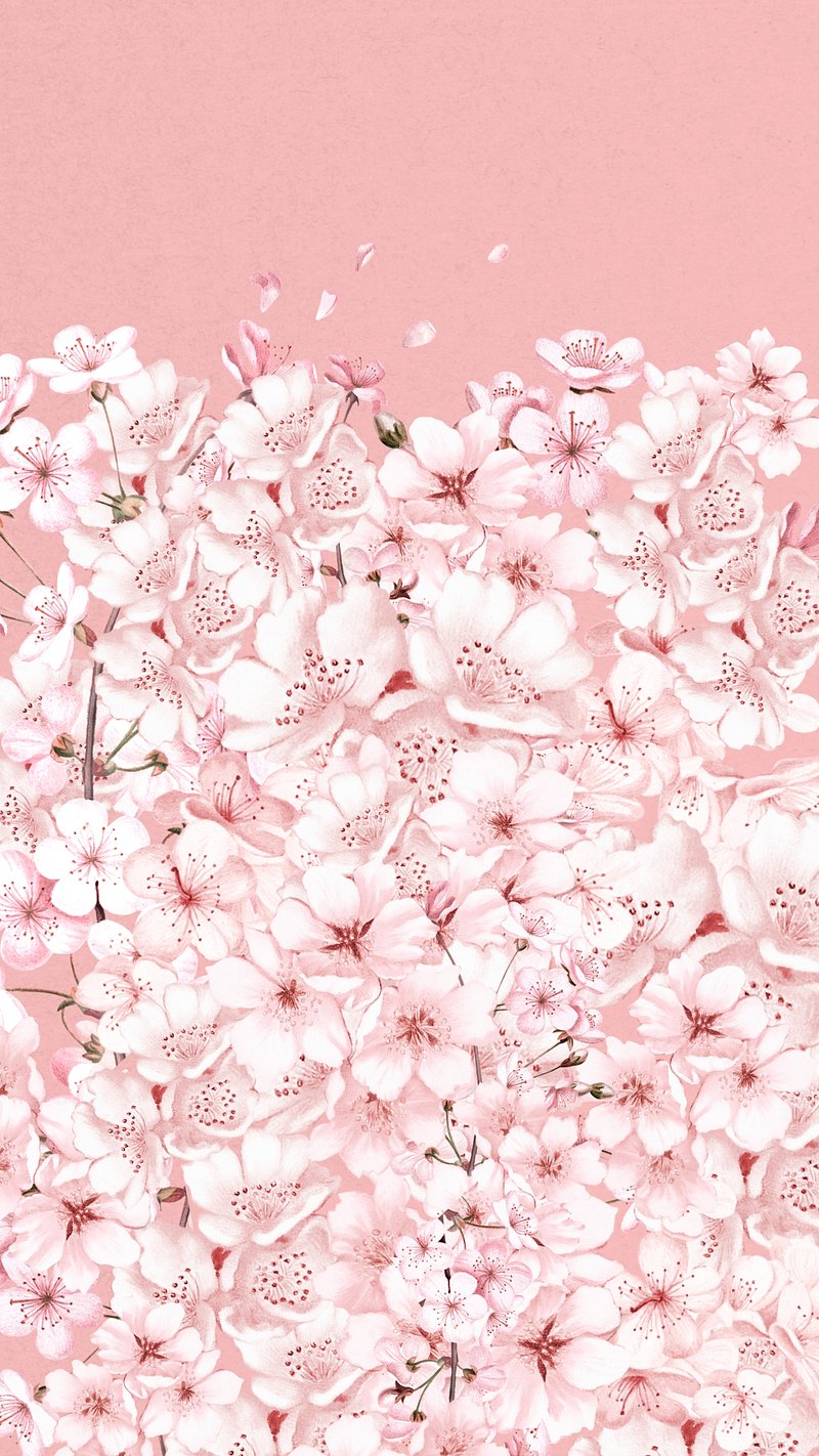 Sakura Flower Phone Wallpaper Iphone Wallpaper Digital