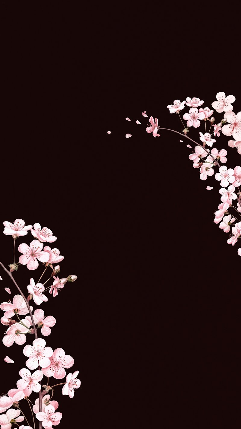 Cherry Blossom iPhone Wallpapers  Wallpaper Cave