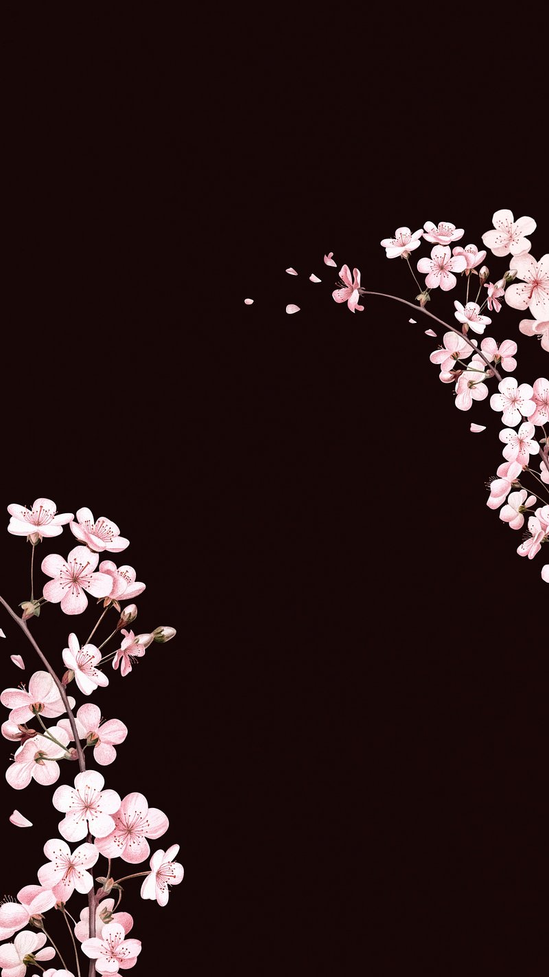 Japanese cherry blossom iPhone wallpaper, | Premium Photo - rawpixel