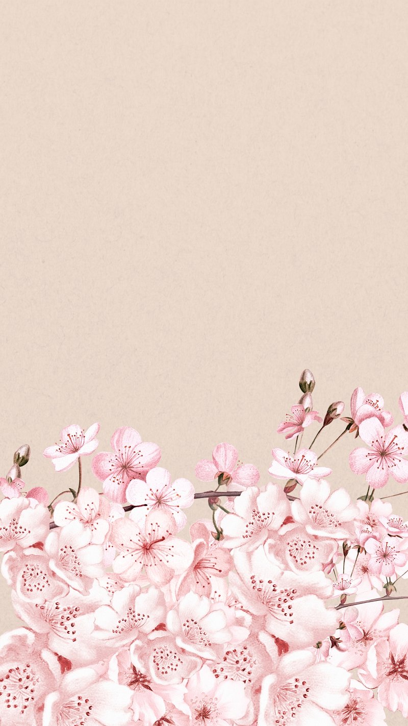 pink flower iphone wallpaper