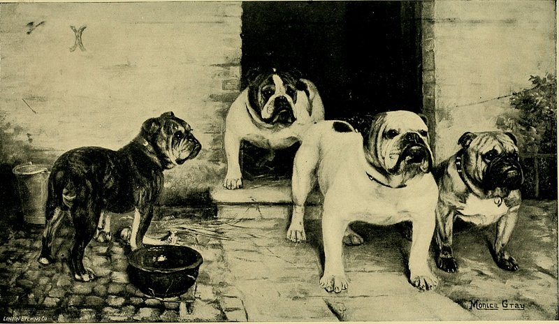 Mastering Espresso Making With Coffeescerinis