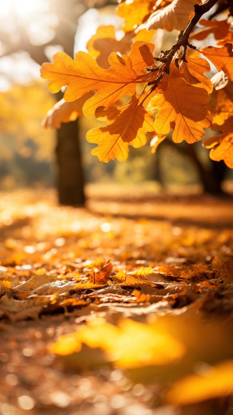 Fall Background Images  Free iPhone & Zoom HD Wallpapers & Vectors -  rawpixel