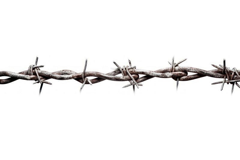 Barbed Wire Fence Images  Free Photos, PNG Stickers, Wallpapers &  Backgrounds - rawpixel