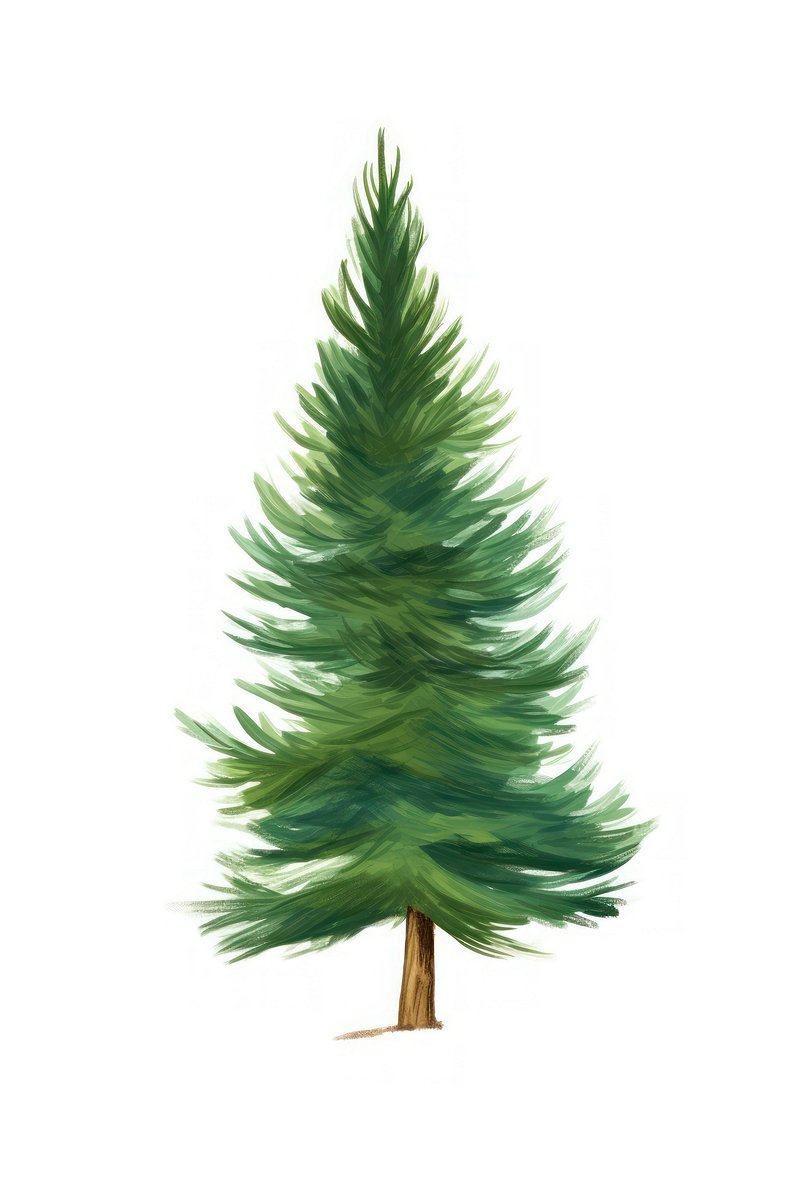 Large Pine Trees Drawing · Creative Fabrica