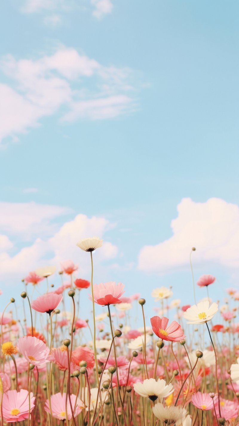 Flower Iphone Wallpaper | Free Aesthetic HD & 4K Mobile Phone Images -  rawpixel