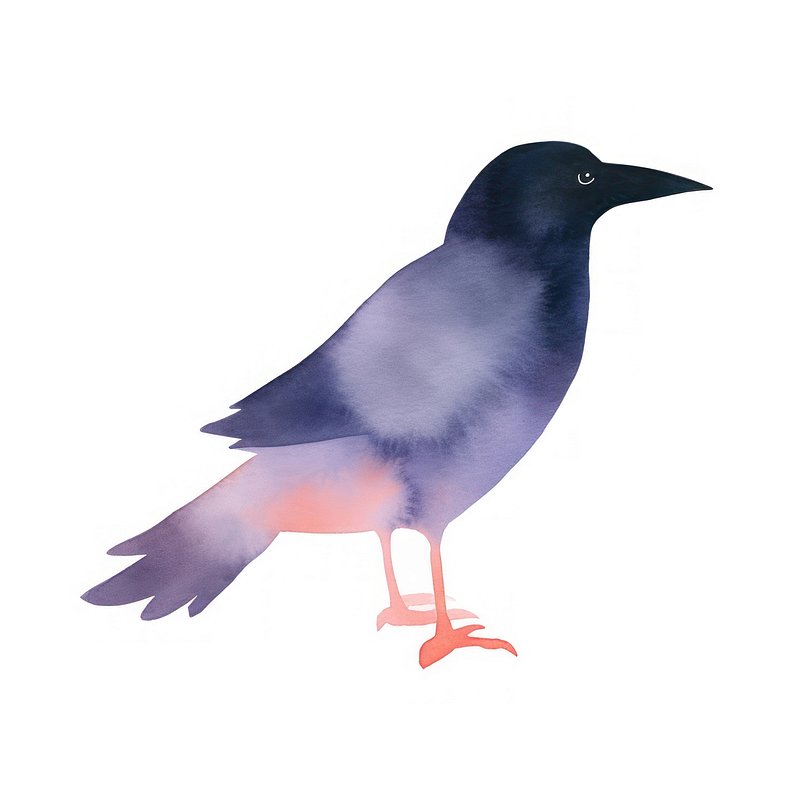Cute Crow Cartoon Stock Illustrations – 3,153 Cute Crow Cartoon Stock  Illustrations, Vectors & Clipart - Dreamstime