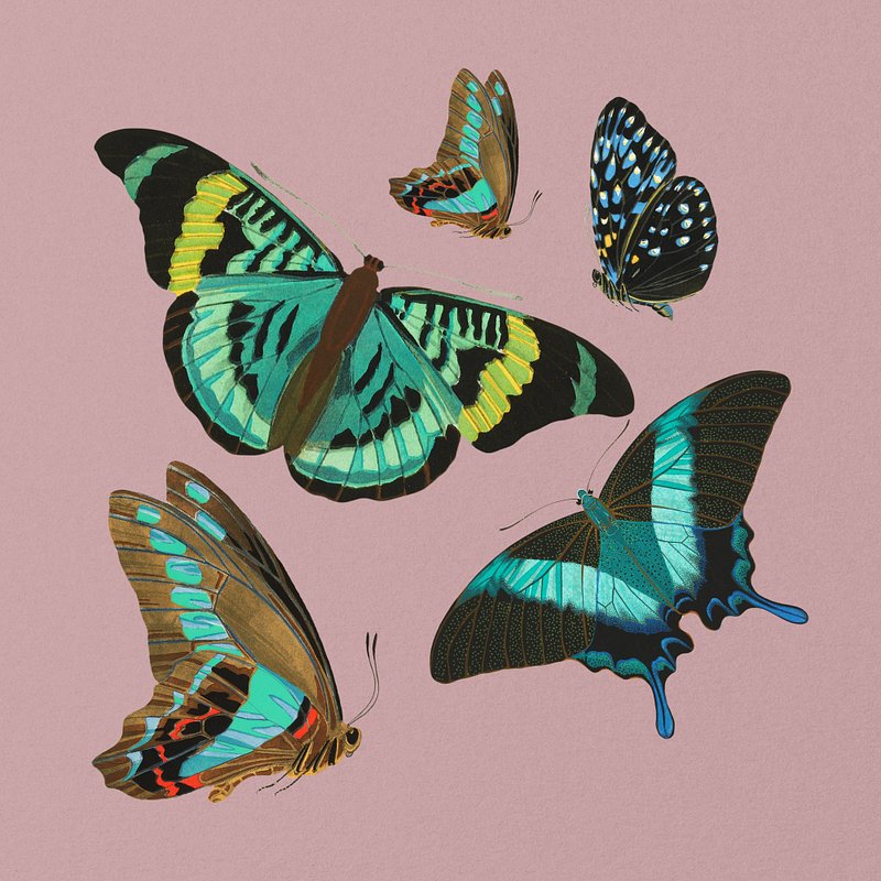 Green butterflies, aesthetic insect remix Premium Photo Illustration