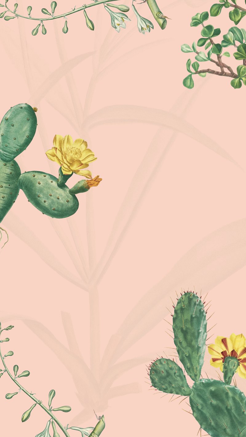 Prickly Pear Cactus Peel and Stick Wallpaper – RoomMates Decor