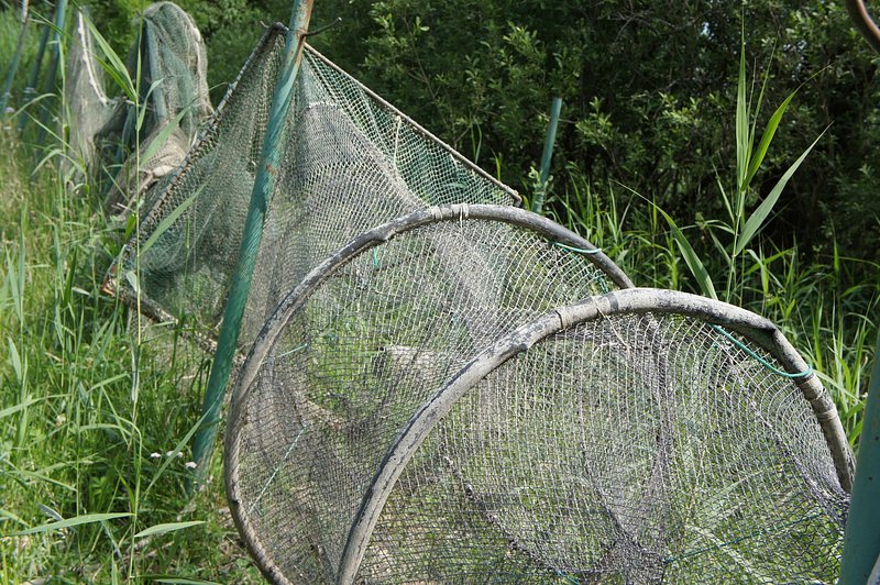 Fishing net close up. Free