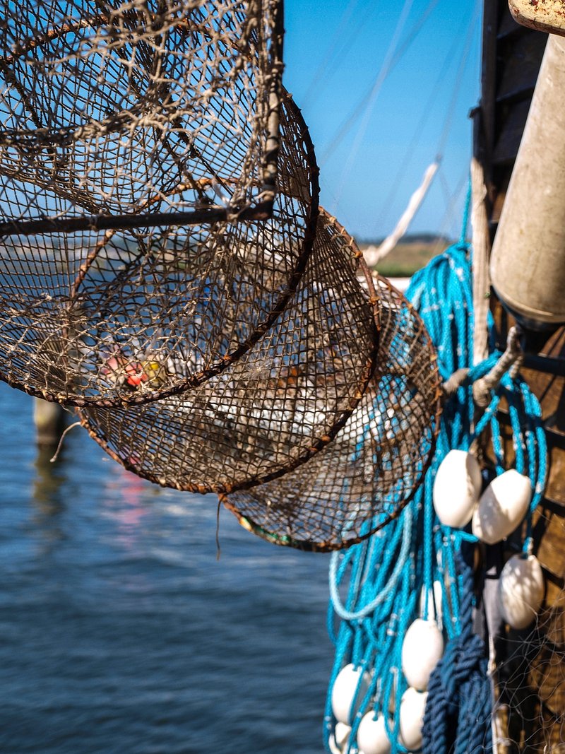 46 Royalty-Free Fishing net Photos, sorted by aesthetic score