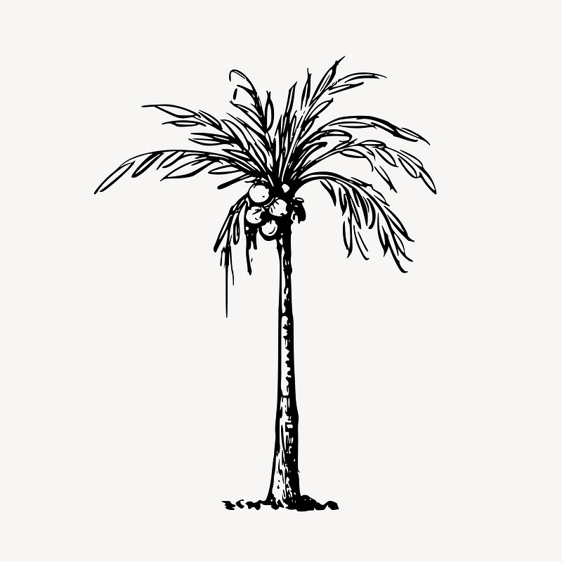 palm trees clipart black and white