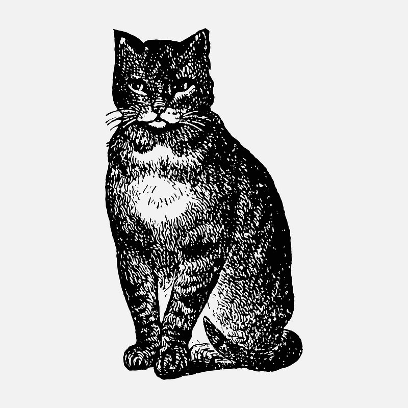 Cat Element Vector Art PNG, Black Cat Element Icon, Cat Icons, Black Icons,  Element Icons PNG Image For Free Download