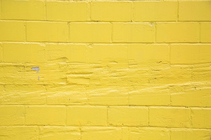 Yellow Jungle Wallpaper: Heron Flower Design | Happywall