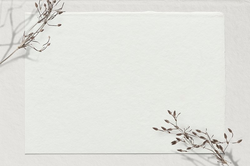 Plain White Wallpapers - Top Free Plain White Backgrounds - WallpaperAccess